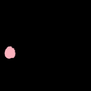 LOGO-NM